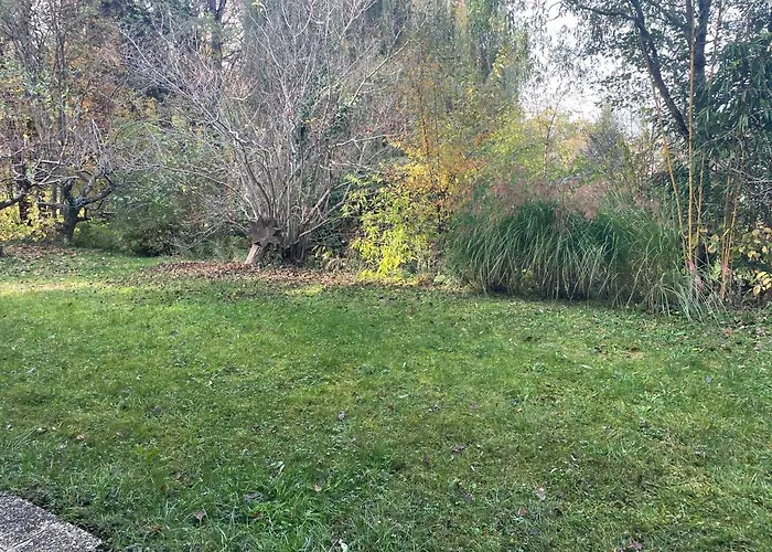 Ruhiges Im Gruenen דירה